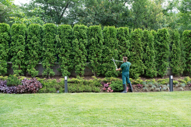 Best Lawn Irrigation Installation and Maintenance  in Canonsburg, PA